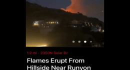On Working Through the LA Fires of 2025 (a Poem)